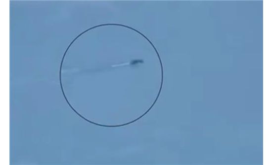 Пэгдүсан уулын нууранд хачирхалтай амьтан илэрсэн үү?