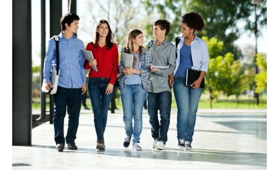 Их Британи: Визний хугацаа хэтрүүлсэн гадаад оюутнуудыг албадан гаргана