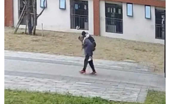 Хятад: Багш нь шавиа өдөр бүр үүрч гэрт нь хүргэдгийн учир юу байв?