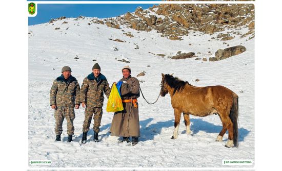 Хилчид хэдэн хүний амь насыг хамгаалав?